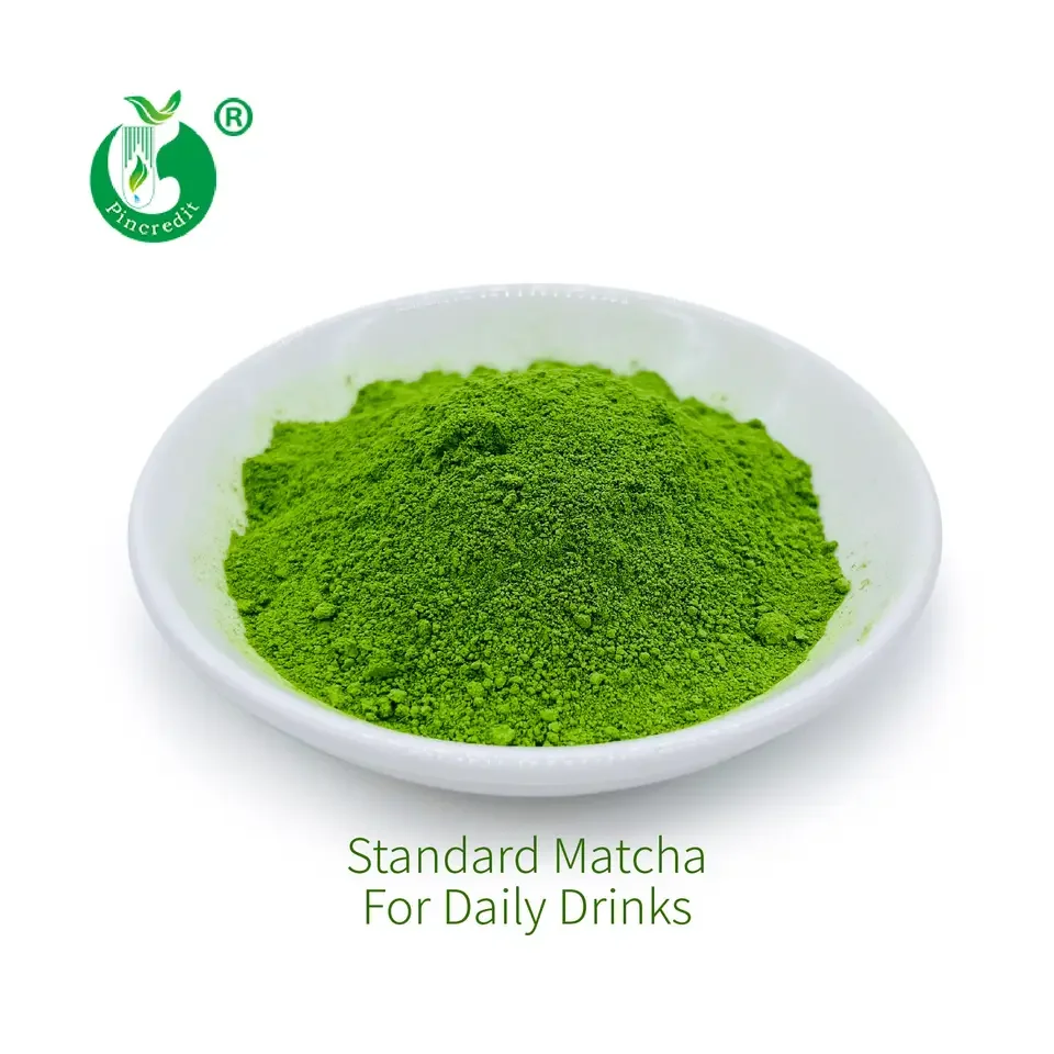 

Free Sample Bulk Price Organic Matcha Green Tea Powder for Daily Drinks