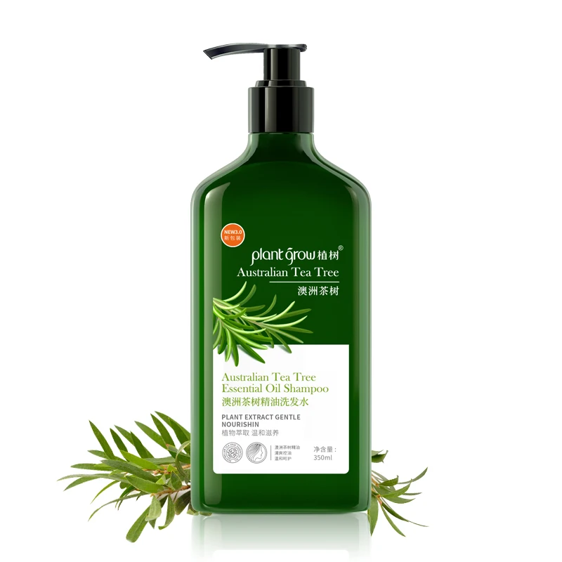 

350ml Wholesale Anti - dandruff nourishing Organic Hair shampoo Pure Naturl Tea Tree Shampoo