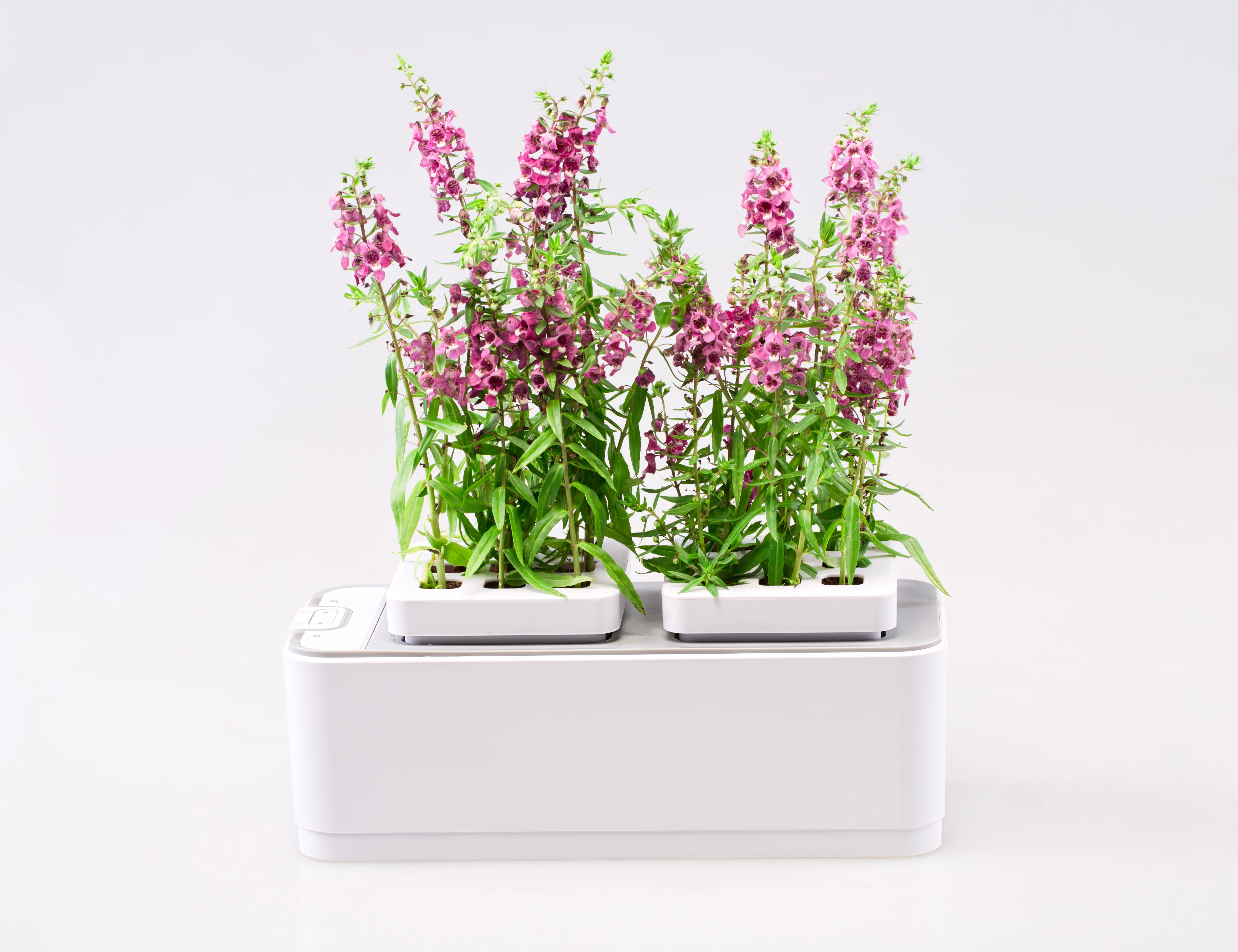 

hydroponics planter pot Flower Pot creative Design Planter Bamboo Fiber Flower Pot with water timer, White