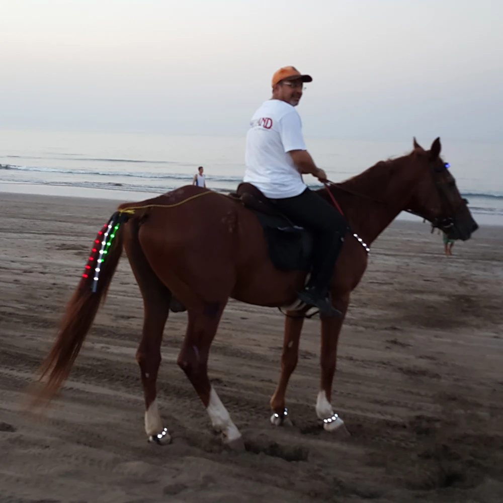 20150807_185129.jpg