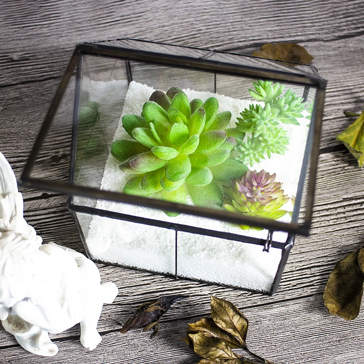 

Co-Arts Home Decor Wedding Gift Geometric Glass Planter Terrarium House Kit, Clear
