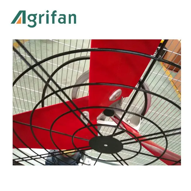 
Agrifan brand poultry farming large dairy fan/ cowshed fan 
