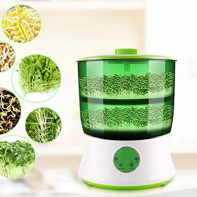 
Automatic Green Mung bean pea sprout productor growing machine for sprouting soya 