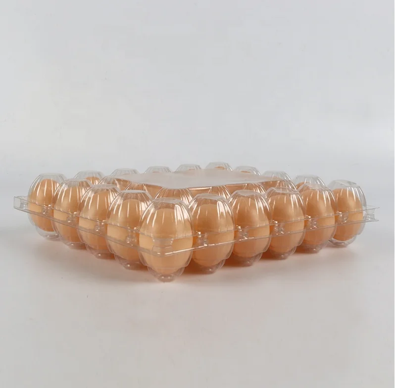 Customized Ratna Plastic Egg Tray With Dividers Holder Cover 30 20 9