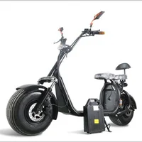 

Europe warehouse Citycoco 1500W Brushless electric fat bike with removable battery citycoco