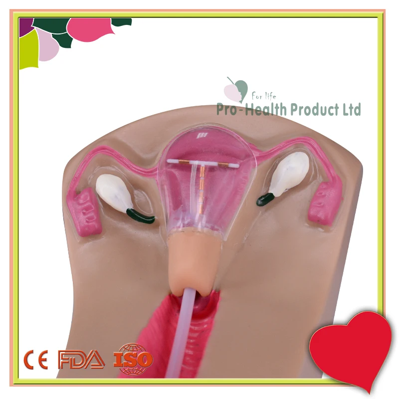 Female Chastity Belt With Simulator Female Chastity Belt With Simulator