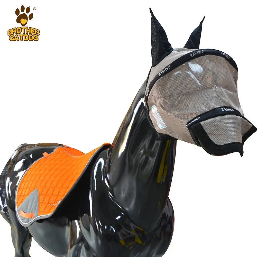 Horse Stall Mats Saddle Pad Horse Buy Horse Horse Paddock Horse Stall