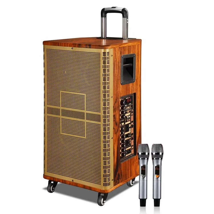 

NEW ARRIVAL Big Powerful Wooden Outdoor Trolley Speaker 12 Inch Rechargeable Active Trolley Speaker With Two UHF Wireless MIC, Gold