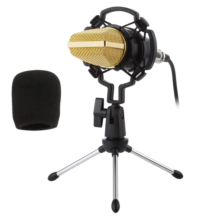 

Professional Metal Voice Recording Usb Condenser Studio Microphone
