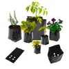 Wholesale planting bags for vegetable and melon