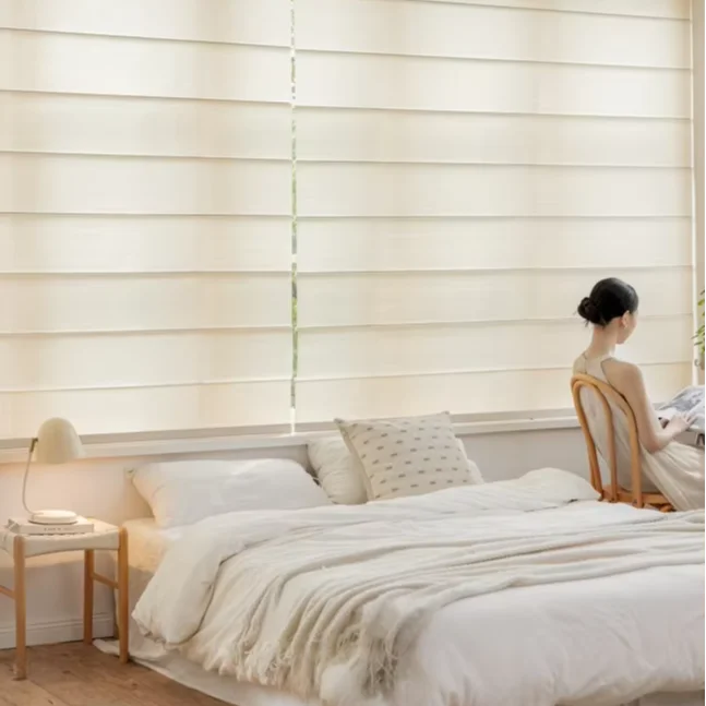 ZSTARR Home Use Bedroom French Window Horizontal Blackout Pinhole Electric Motorized WiFi Metal Cover Roller Shades Roman Blinds