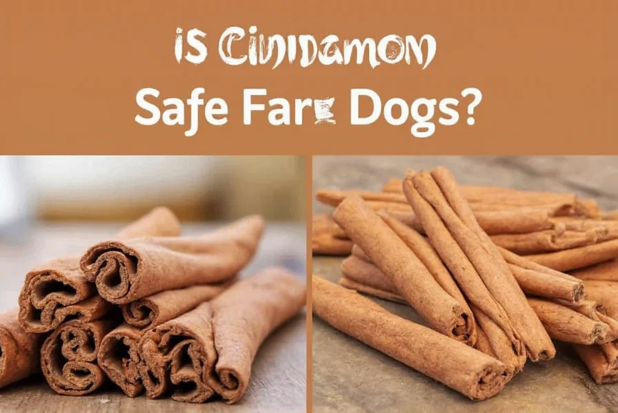 is cinnamon okay for dogs