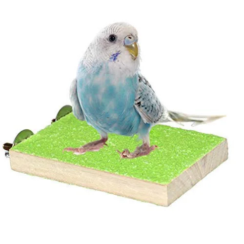 

Cage Cake Cupcake Bath Play Parrot Hanging for Birds Perch Feeder for Sale Toys Training Skateboard Wood Bird Stand, As picture