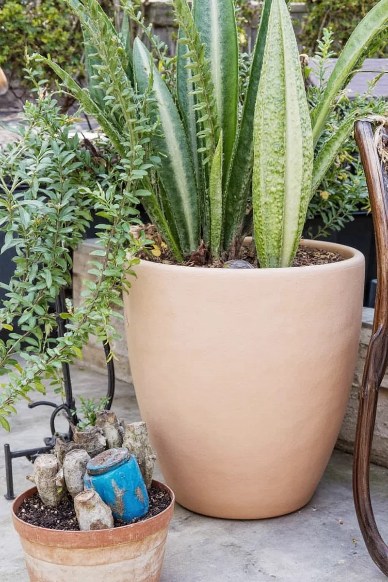 Wall-mounted magnetic tool rack in a small potting shed with hanging baskets above and a pet bed below.