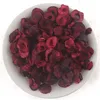 Chinese factory 100% Pure Natural Freeze Dried Cherry Extract Powder