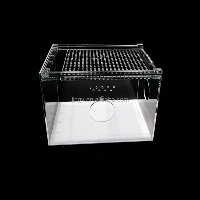 Factory Custom Clear Square Cube Pmma Plexiglass Acrylic Pet Reptile