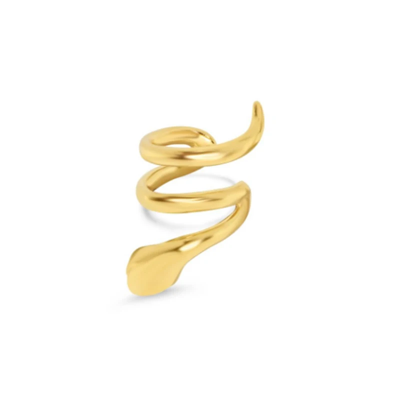 

2021 fashion trend S925 sterling silver snake-shaped simple earring earrings women