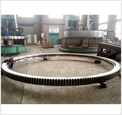 spur ring gear