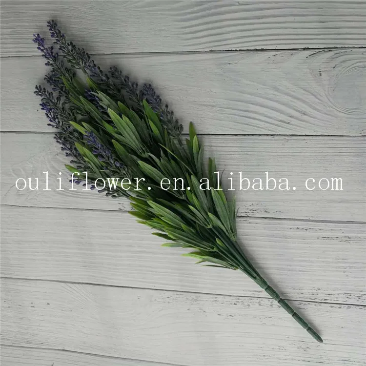 lavender (4).jpg