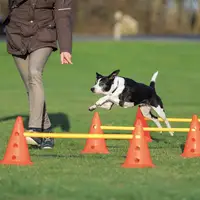 

Hurdle Cone Set -Training Cones and Agility Poles - Adjustable Agility Ladder Speed Training Equipment for Pets