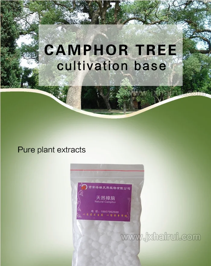 Synthetic Camphor Powder In Camphor Wholesale - Buy Camphor Powder Raw ...