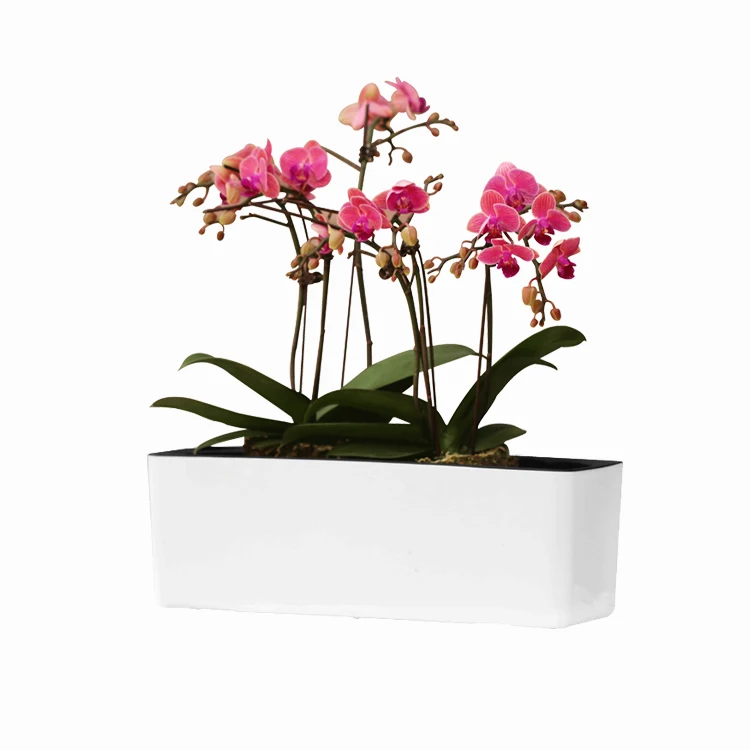 

For sale Rectangular flower trough flower pot stand self watering plastic flower pots, Blue,white