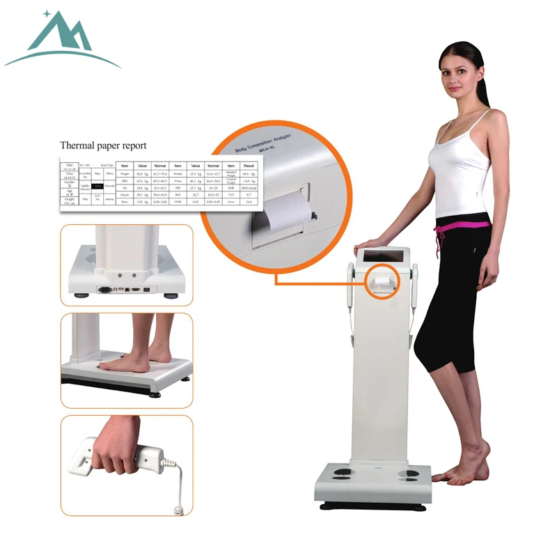 

Professional Manufacturers Supply Body Composition Analyzer, White