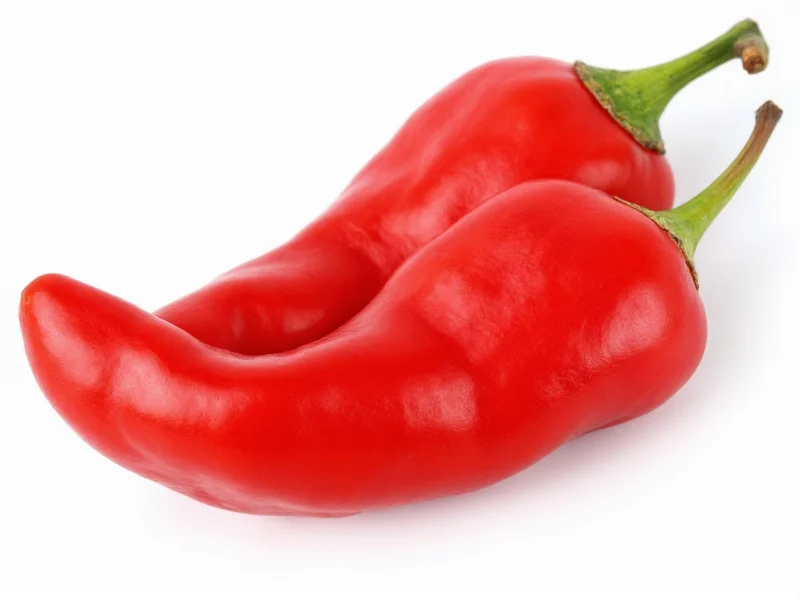 Hatch Chili Scoville Rating: Heat Level Explained