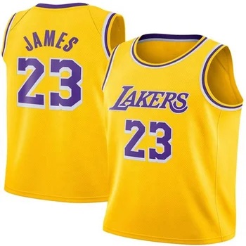 lebron jersey for sale