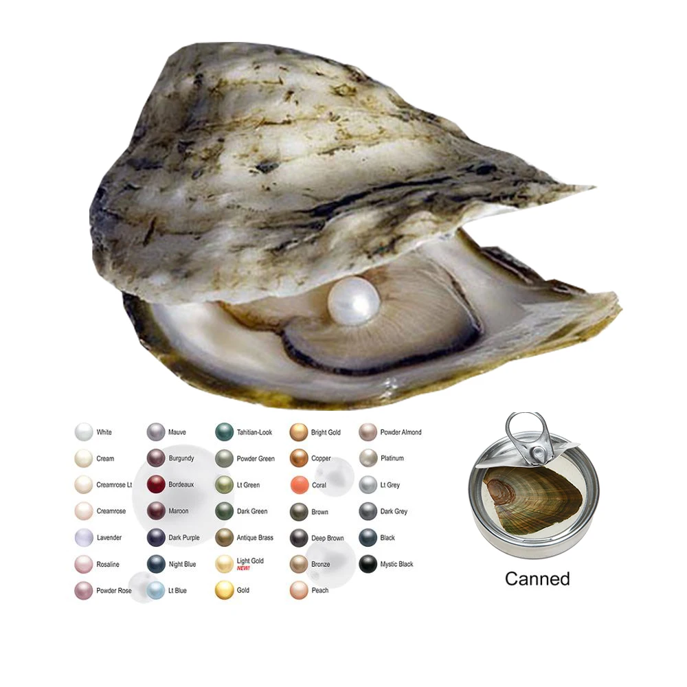Do all oysters have pearls