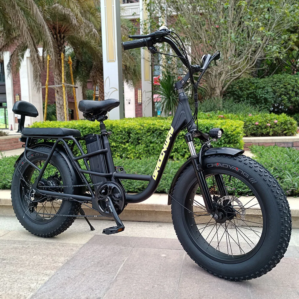 

20 inch Cargo electric ebike 4.0 fat tire with Bafang 350w Motor family e bicycle for take away delivery food delivery e-bike, Customized