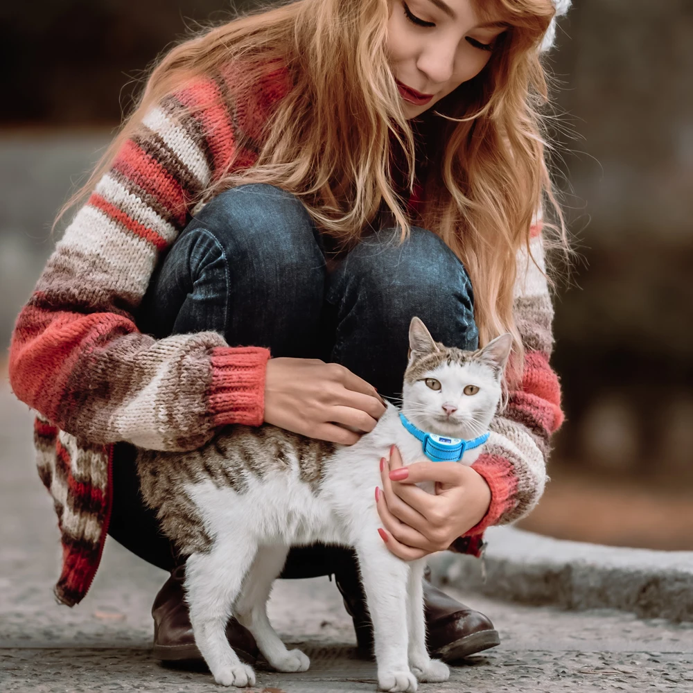 stop cat meowing collar