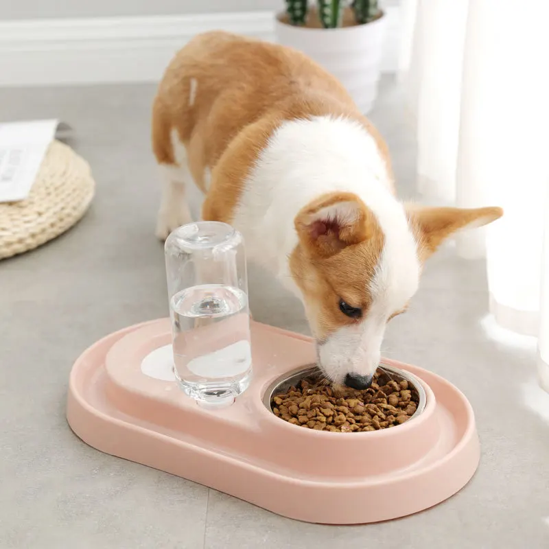 

Pet slow feeder bowl, Pink and blue