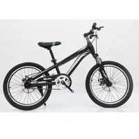 

bicycles for adults / 2020 best selling single speed bicycle for adult