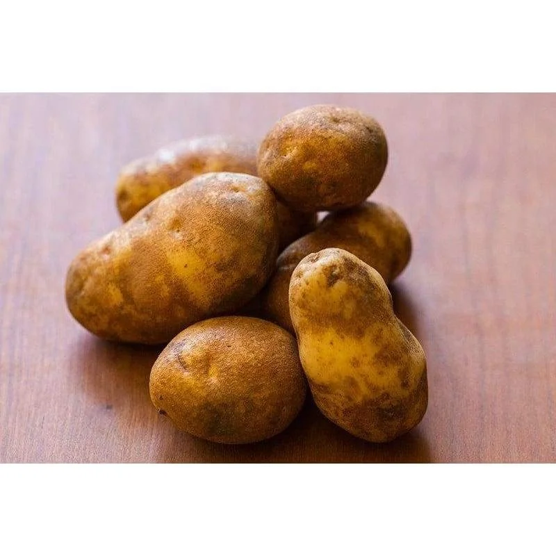 
Mexico Grown Potatoes BAKERS Fresh BULK Robinson Fresh MOQ 50-60 COUNT Quick Delivery in US 