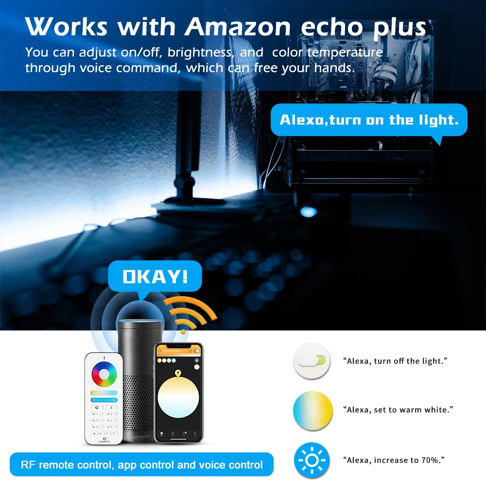 White LED Tap Lights 2700-6500K Dimmable WW/CW Light Strip Controller works with Smart Life APP - ANKUX.COM