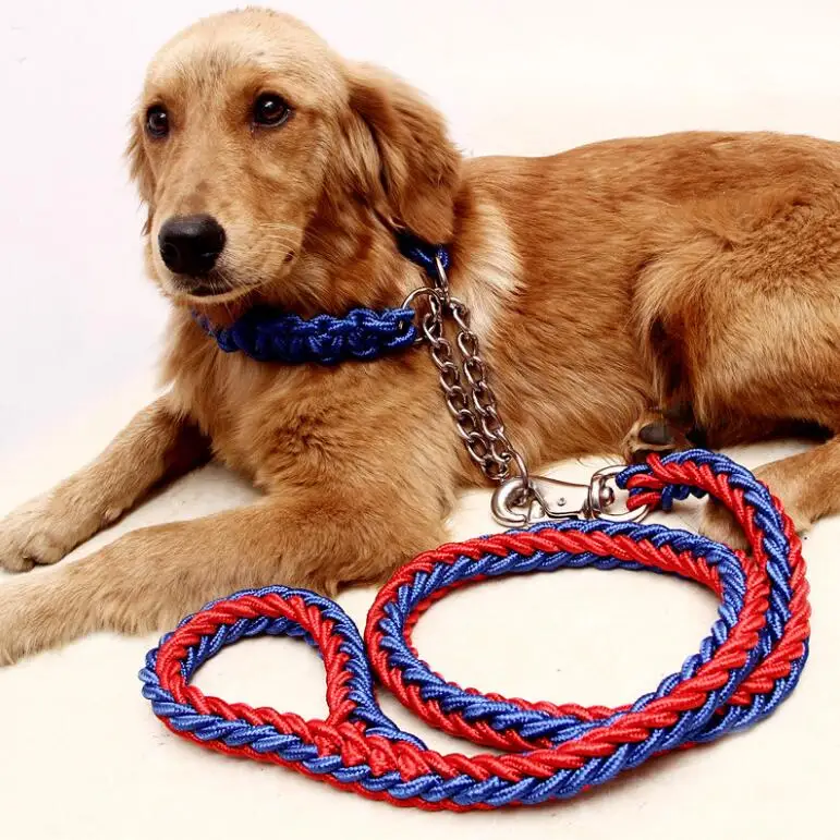 

Dog Leash And Collar Set Luxury Nylon Pet Collars Leashes Dog Leash Leads