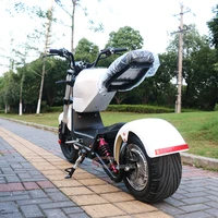 

2019 Hotsale EEC Approval 2000W Citycoco 2000 W 2 Wheel City Electric Scooter with Removable Battery