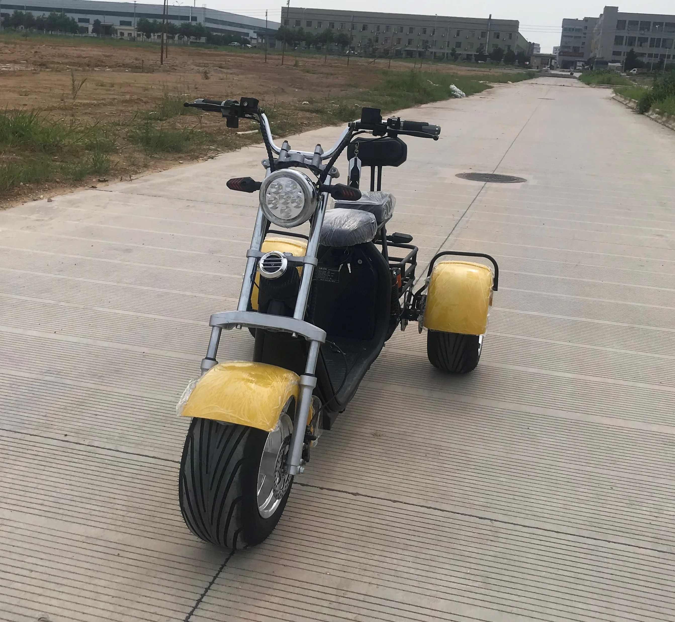 

New style CE electric scooter 1000w 3 wheel sport citycoco electric motorcycle with big wheels and removable seev citycoco, Customized color