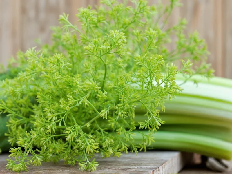 Fennel Taste Explained: The Licorice Connection