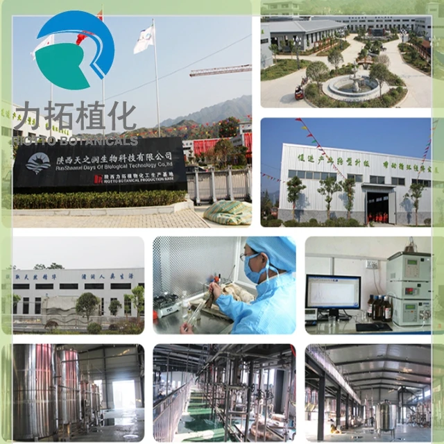 
NAC Pharmaceutical N-acetyl-l-cysteine/ Acetylcysteine CAS No. 616-91-1 