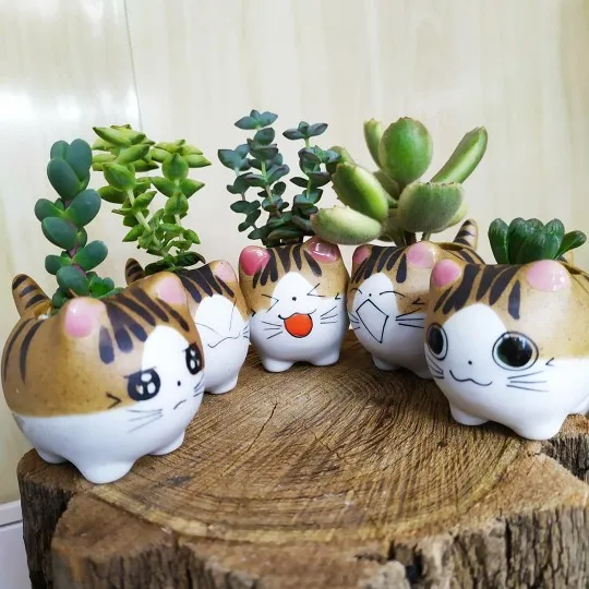 

Small Cartoon Planter Succulent Plants Bonsai Cactus Pot Home Garden Desktop Balcony Decor Gift Cute Mini Cat Ceramic Flower Pot, Customized color
