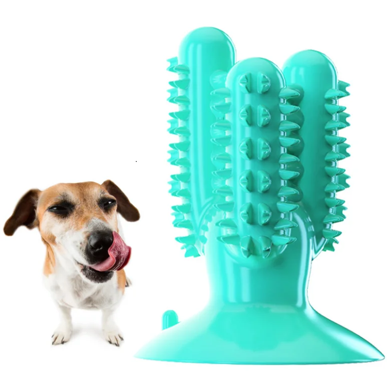 

HY-2021 Hot Selling Tpr Funny Cactus Dog Chew Toy Pet Training Interactive Dog Toy, As pictures