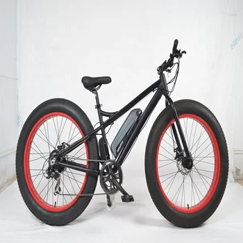 budget fat tire bike