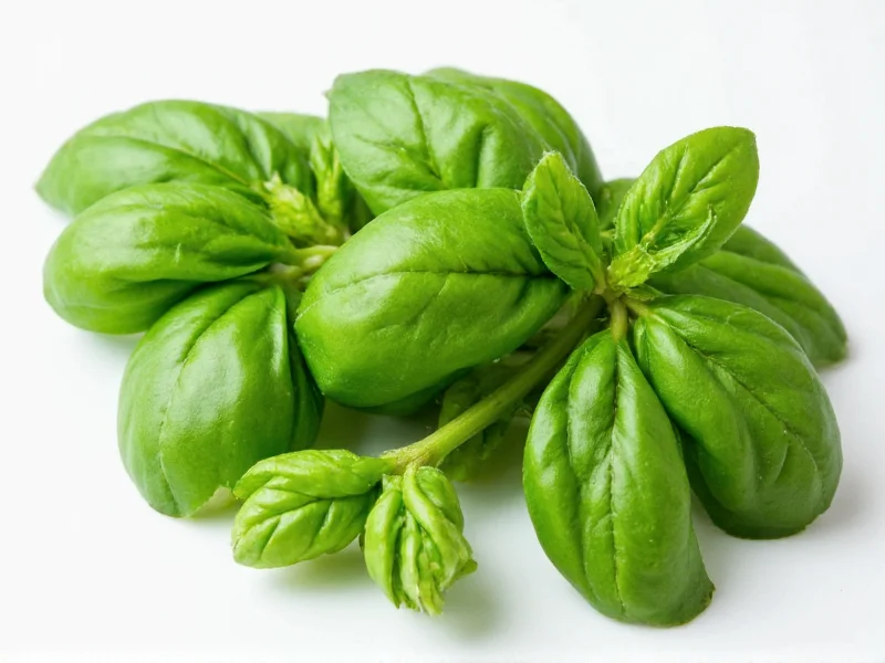 Dry Basil to Fresh Basil: Perfect Conversion Guide