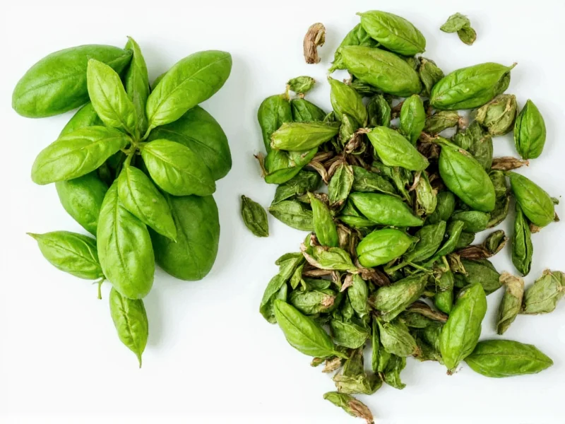 Fresh Basil to Dried Conversion Ratio: 3:1 Guide