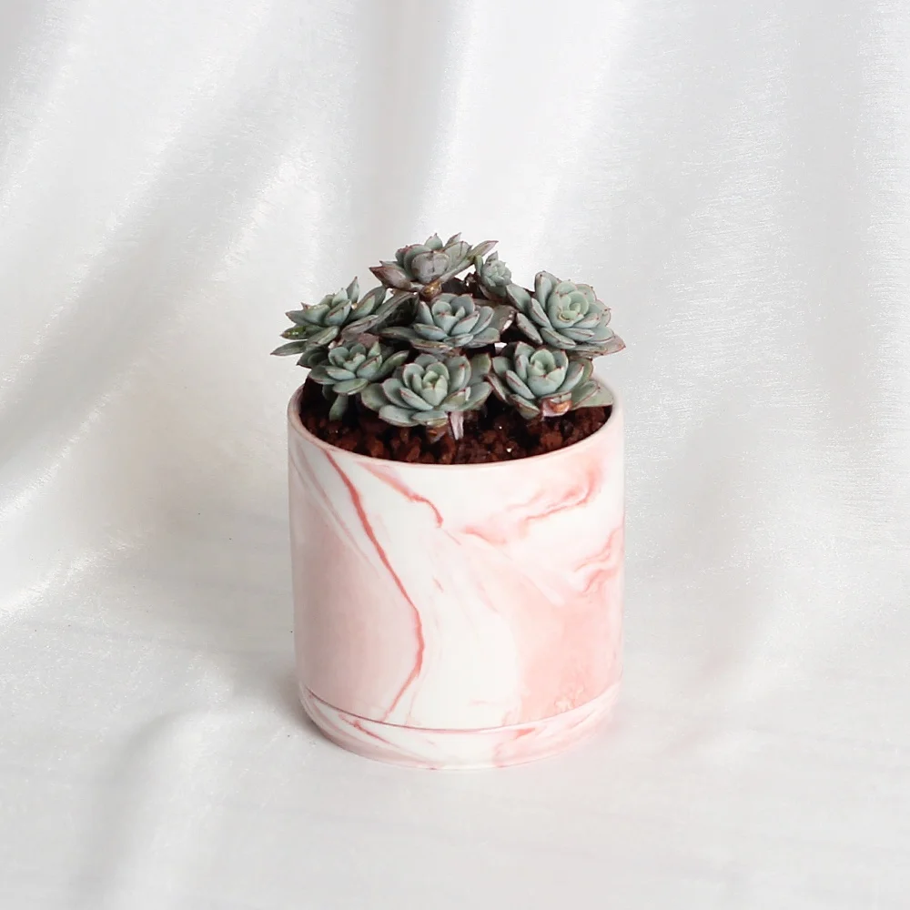 

Round cylinder simple nordic flower pot planter for flower home decor