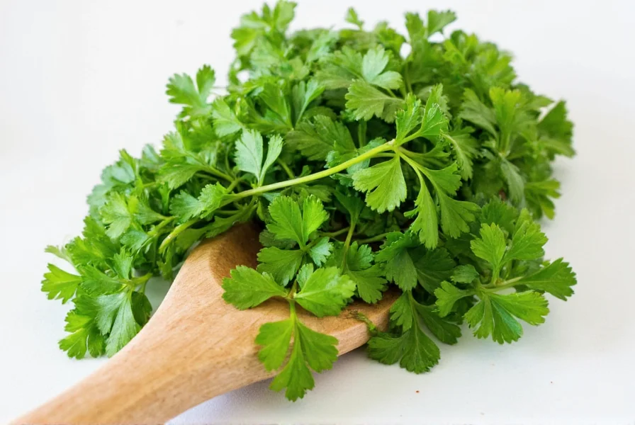 Ground coriander seeds in a glass jar