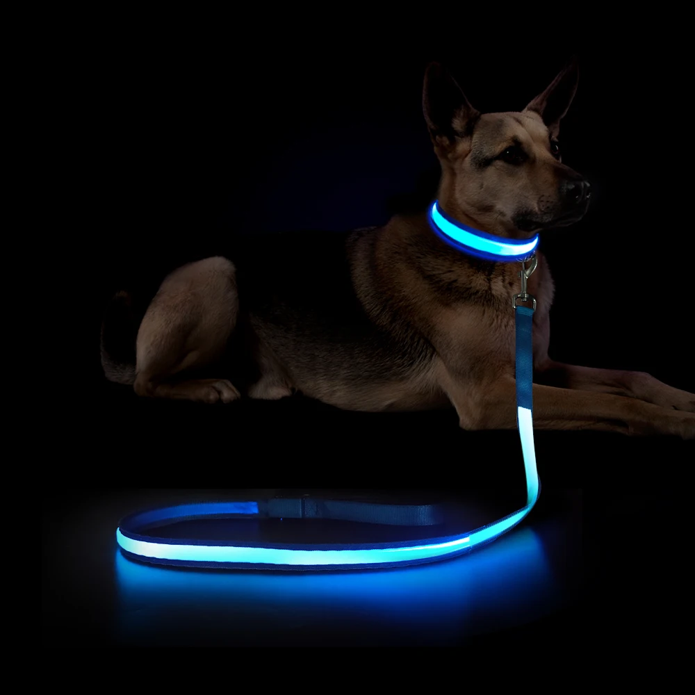 

Light Up Dog Leash Led Illuminating Led Dog Nylon Pet Reflective Rechargeable Led Dog Leash With Led