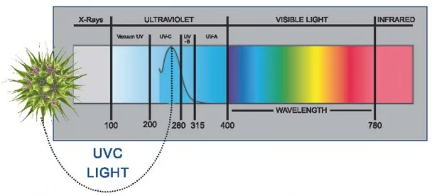 C light. Длина волны ультрафиолетового света. UV-C излучение. Длина волны УФ лампы. Спектр излучения бактерицидной лампы.